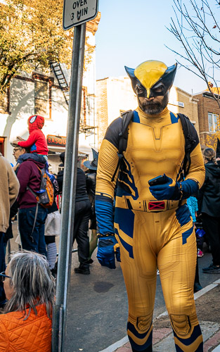 Tarrytown, NY - Oct 2024